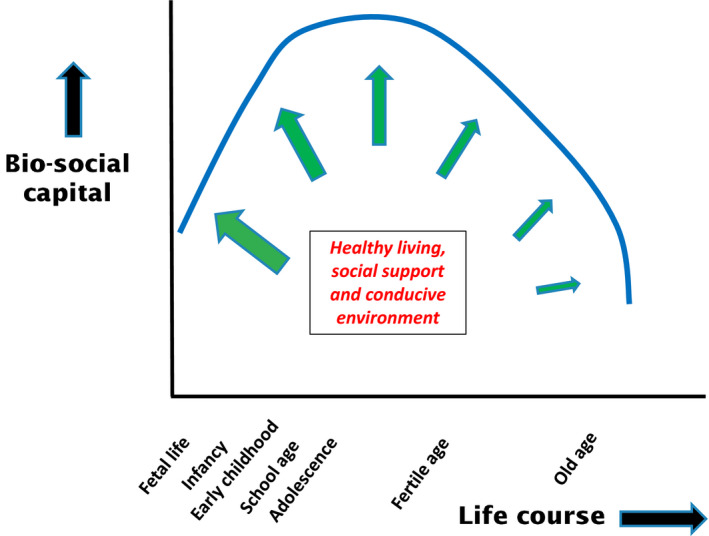 FIGURE 3