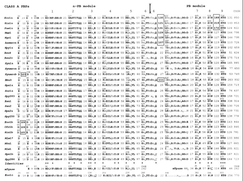 FIG. 6