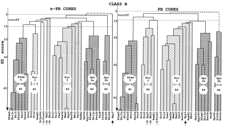 FIG. 9