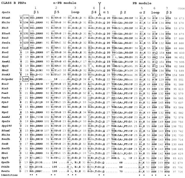 FIG. 7