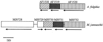 FIG. 5