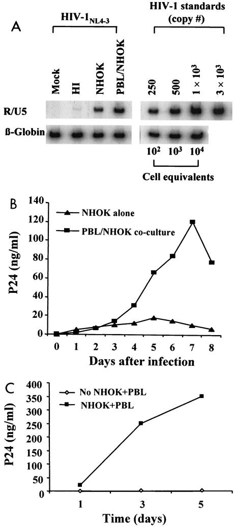 FIG. 5.