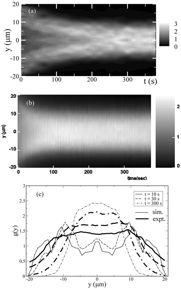 FIG. 3