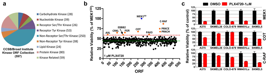 COT/MAP3K8 drives resistance to RAF inhibition through MAP kinase ...