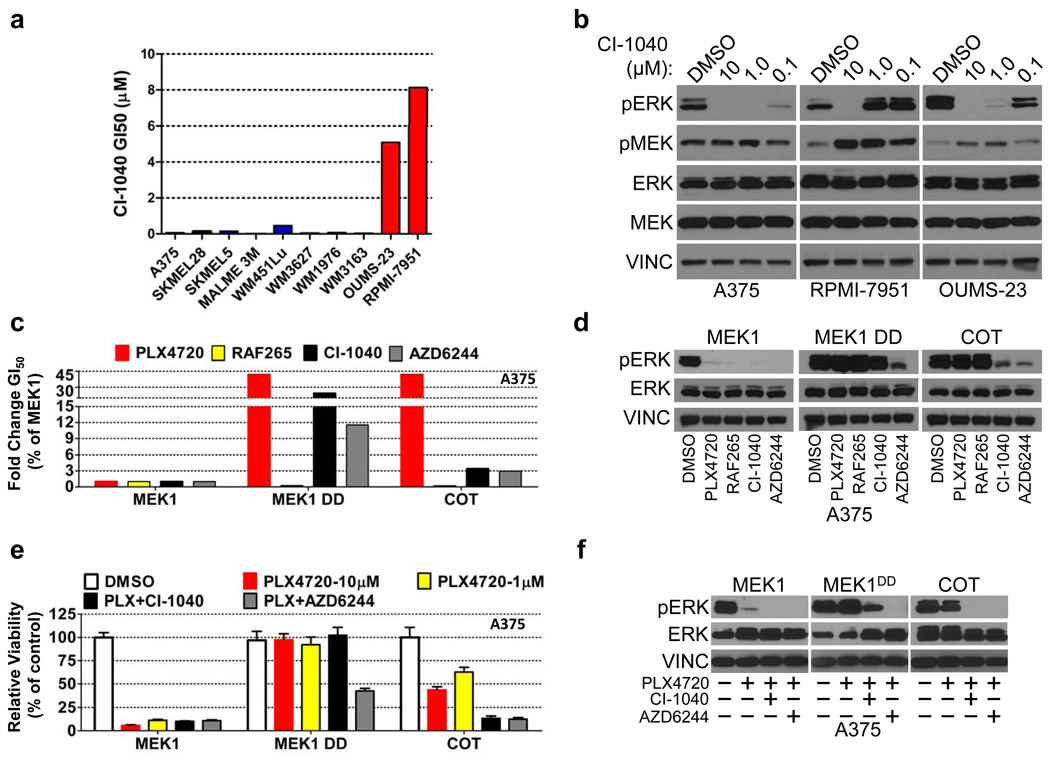 COT/MAP3K8 drives resistance to RAF inhibition through MAP kinase ...