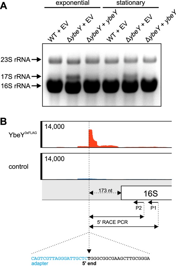 FIG 7