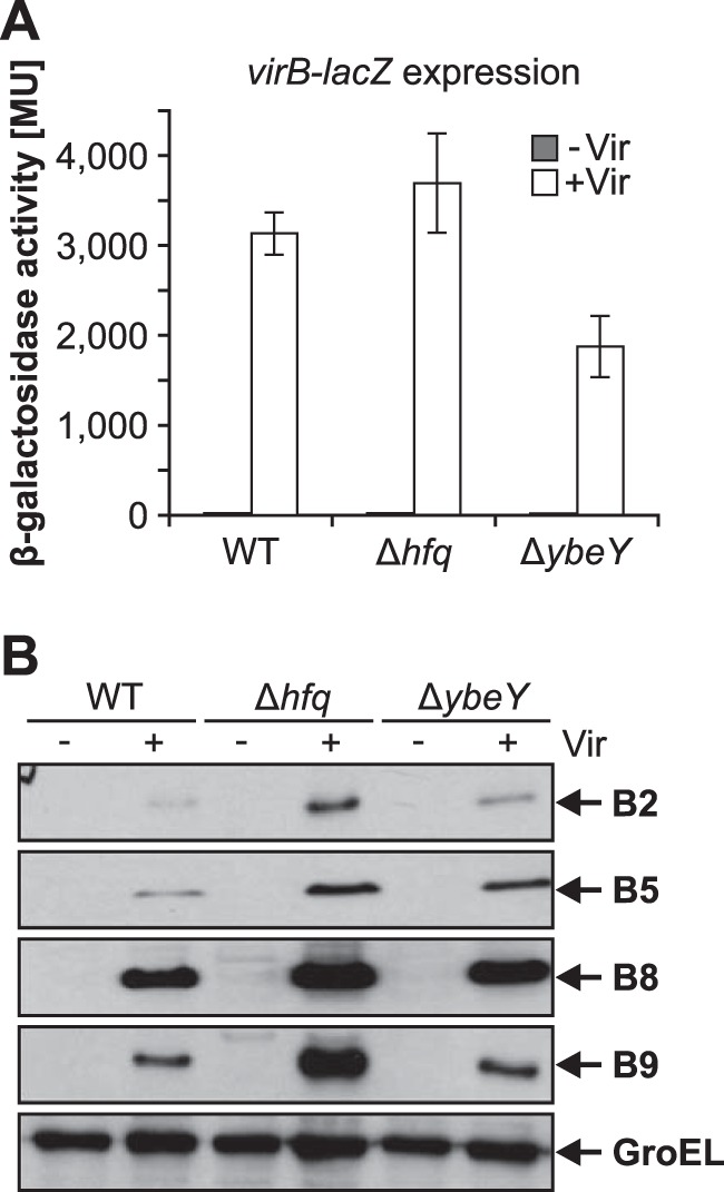 FIG 5