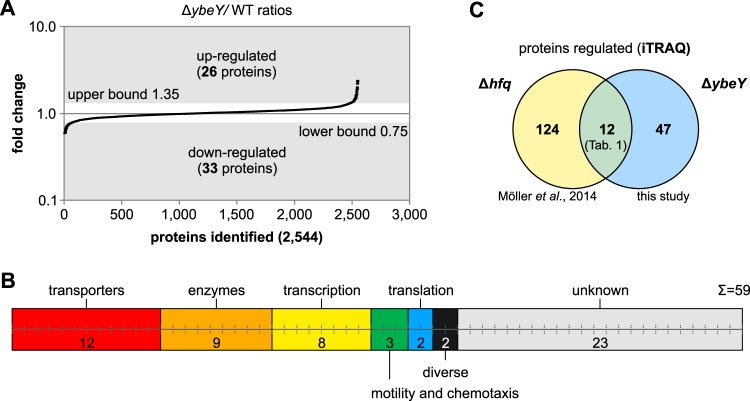 FIG 6