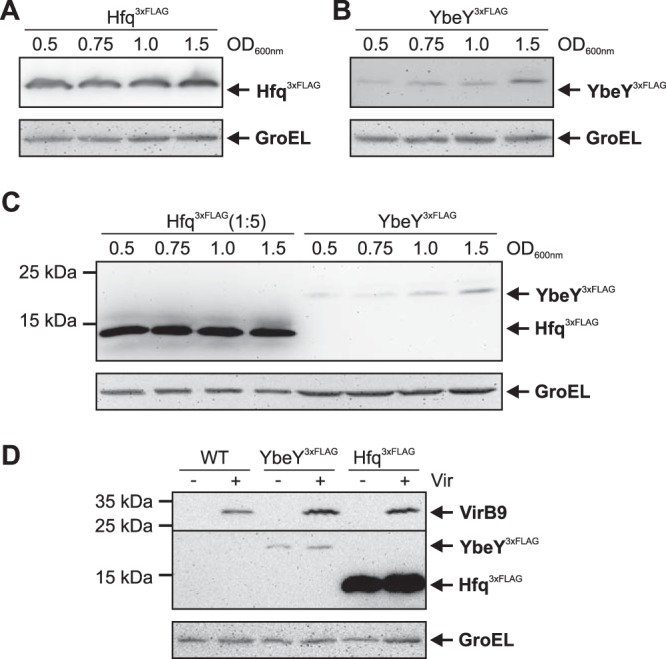 FIG 2