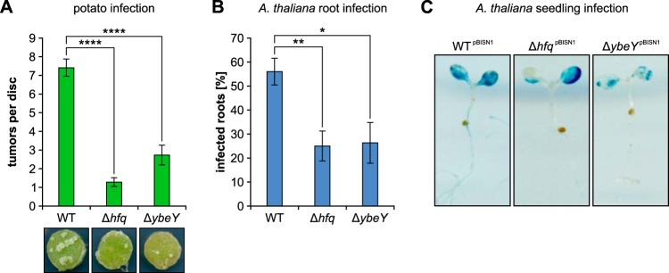 FIG 4