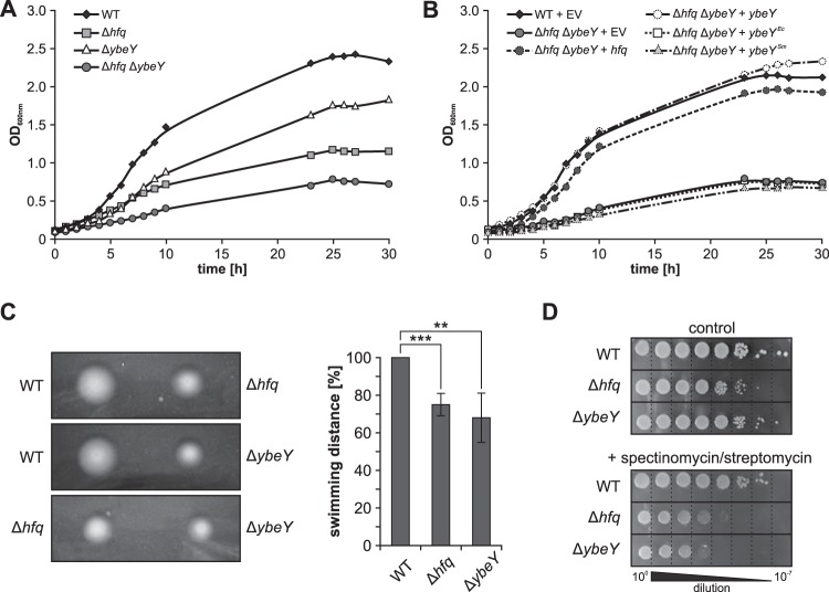 FIG 3