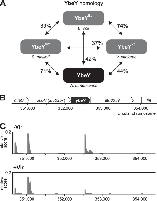 FIG 1