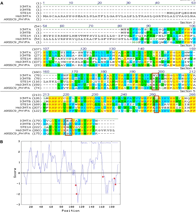 Figure 4.