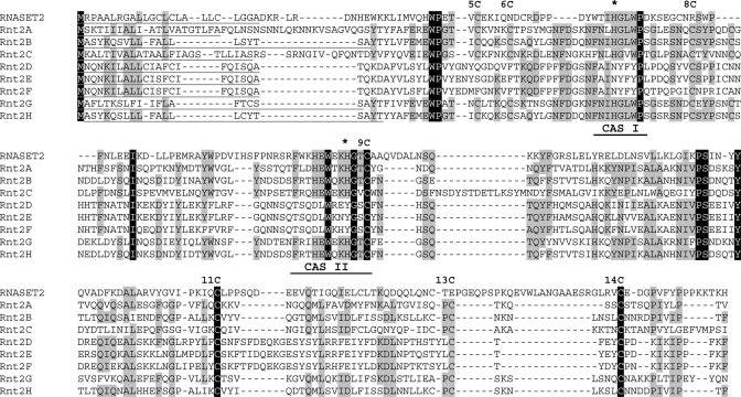 FIGURE 1: