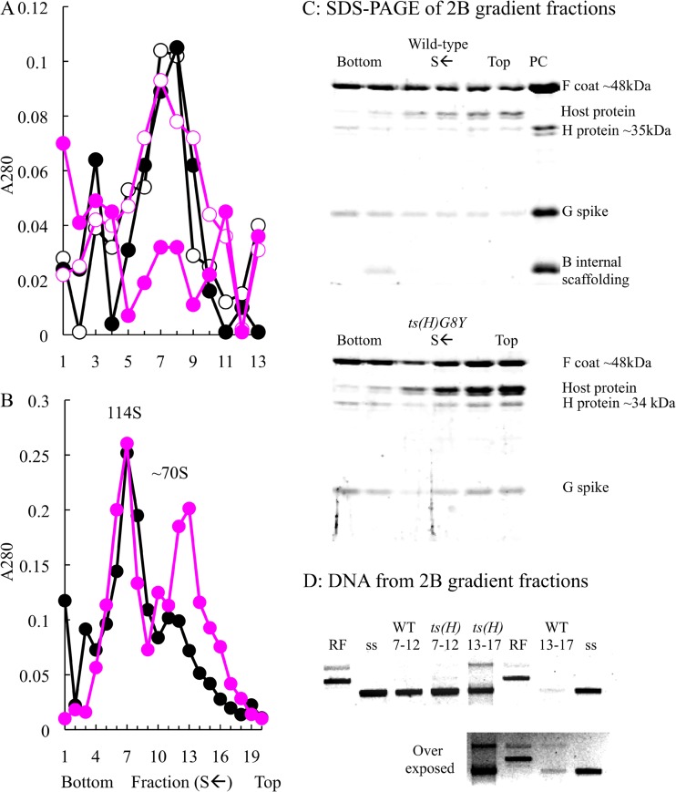 FIG 3