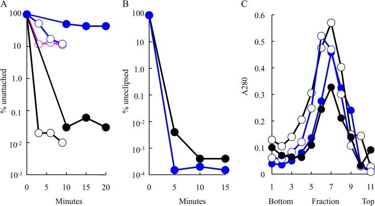 FIG 4