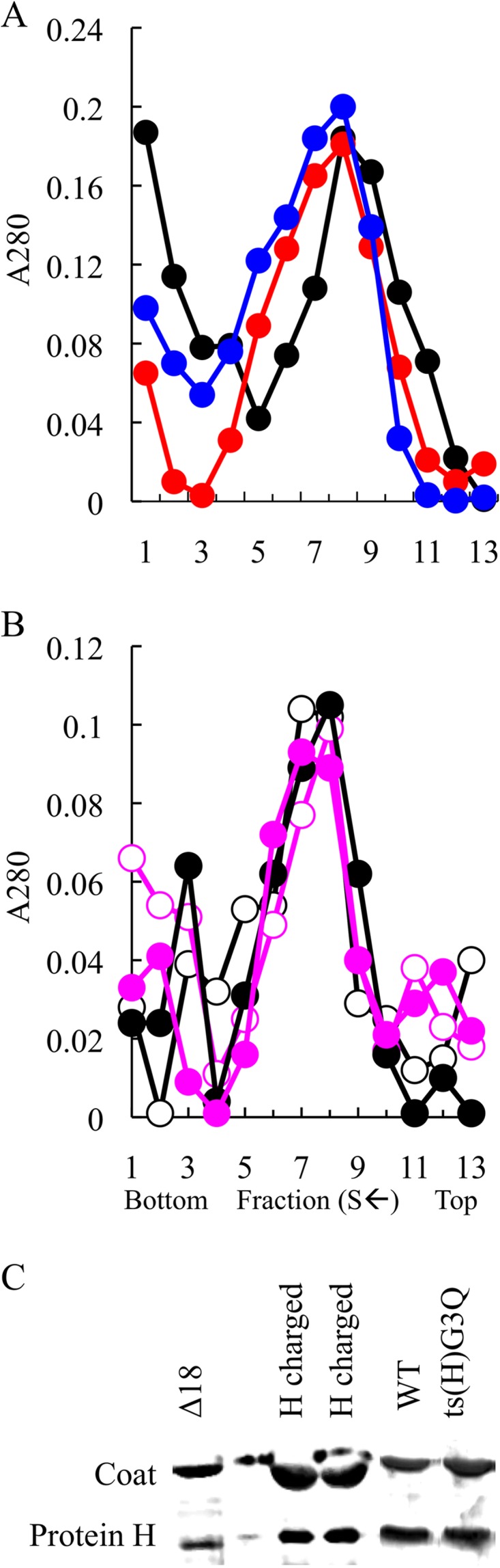 FIG 2