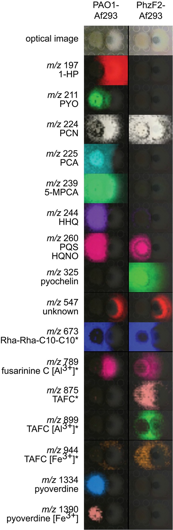 FIG 2