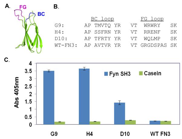 FIGURE 2