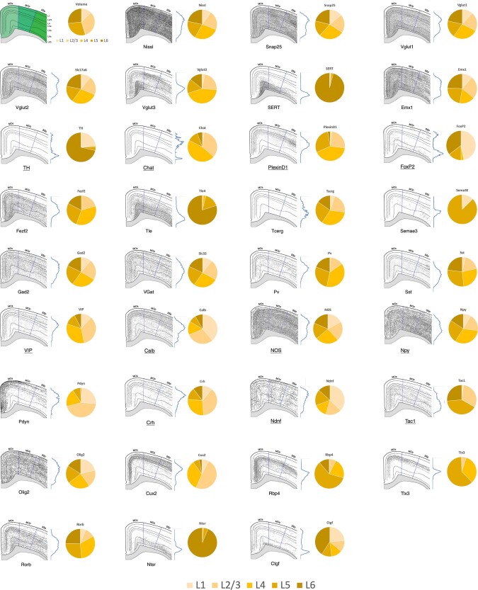 Extended Data Fig. 6