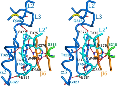 Fig. 6.