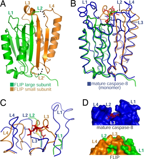 Fig. 3.