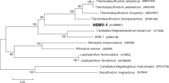 FIG. 2.