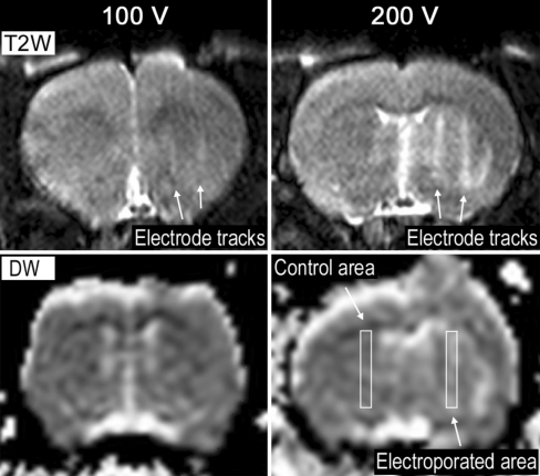 Fig. 4