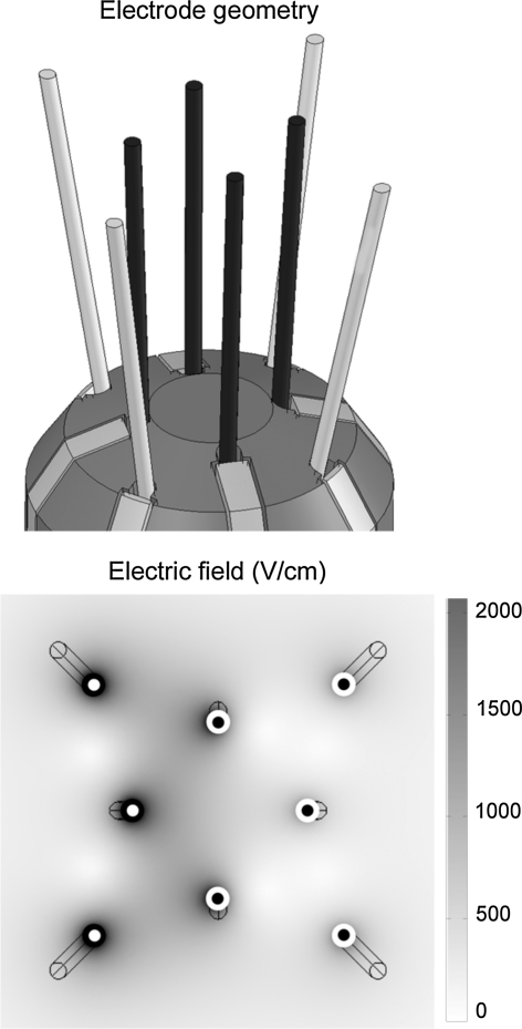 Fig. 3