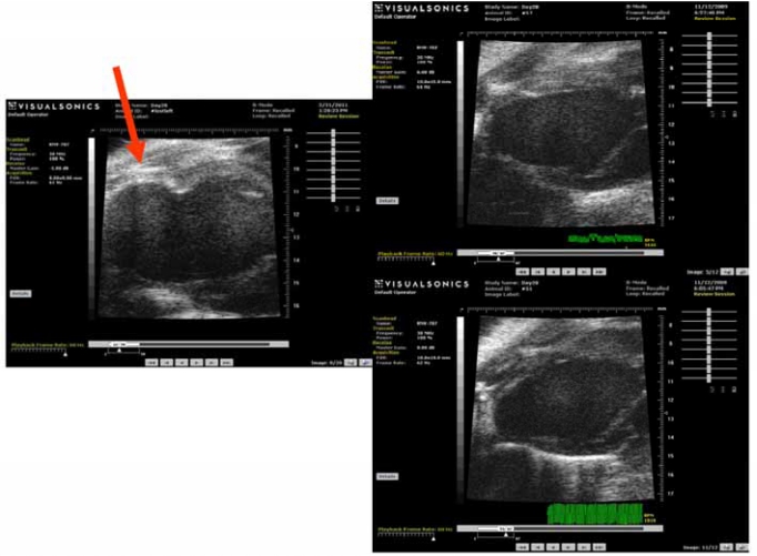 Fig. (2)