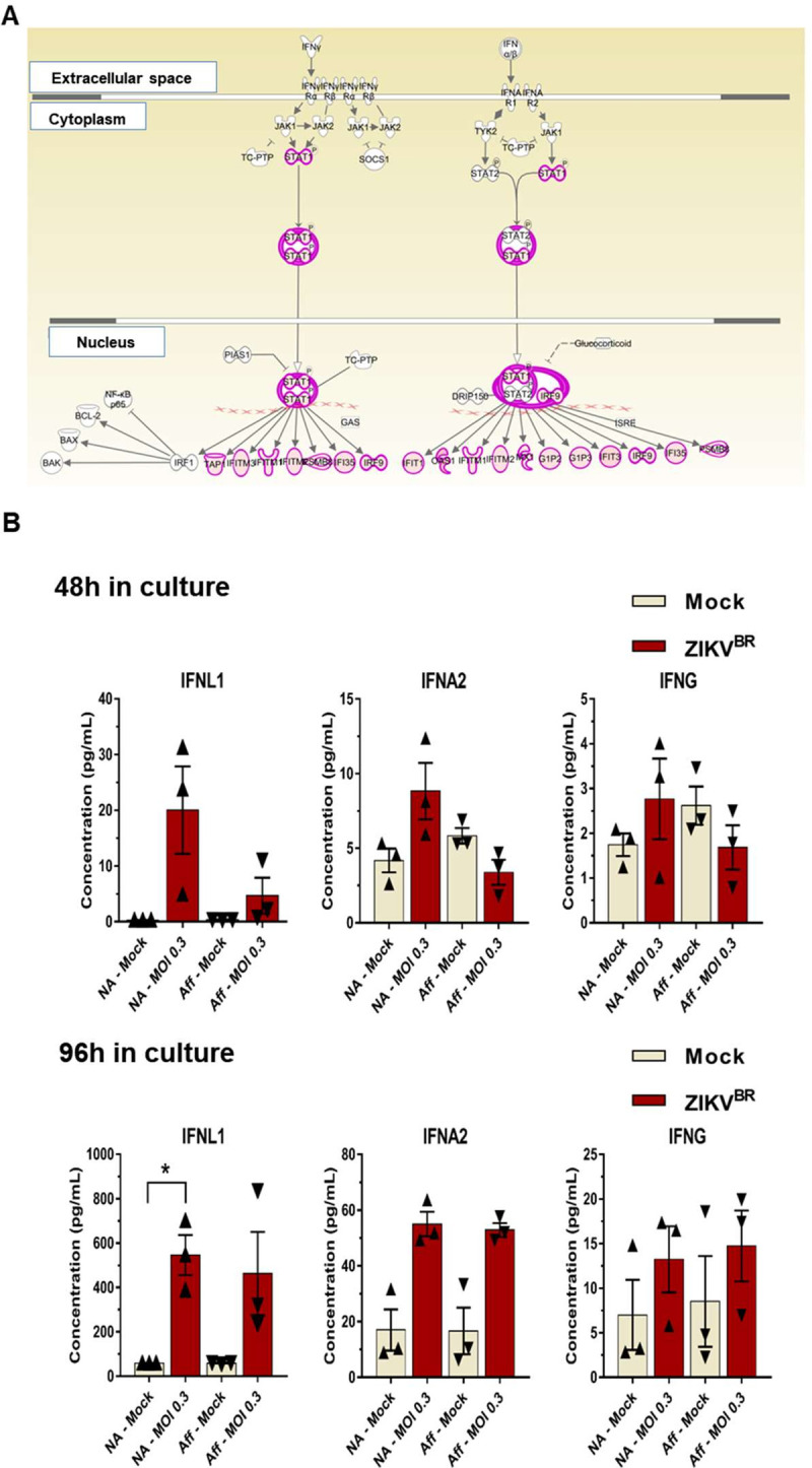 Fig 3