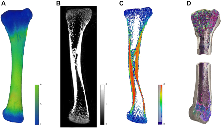 Figure 3