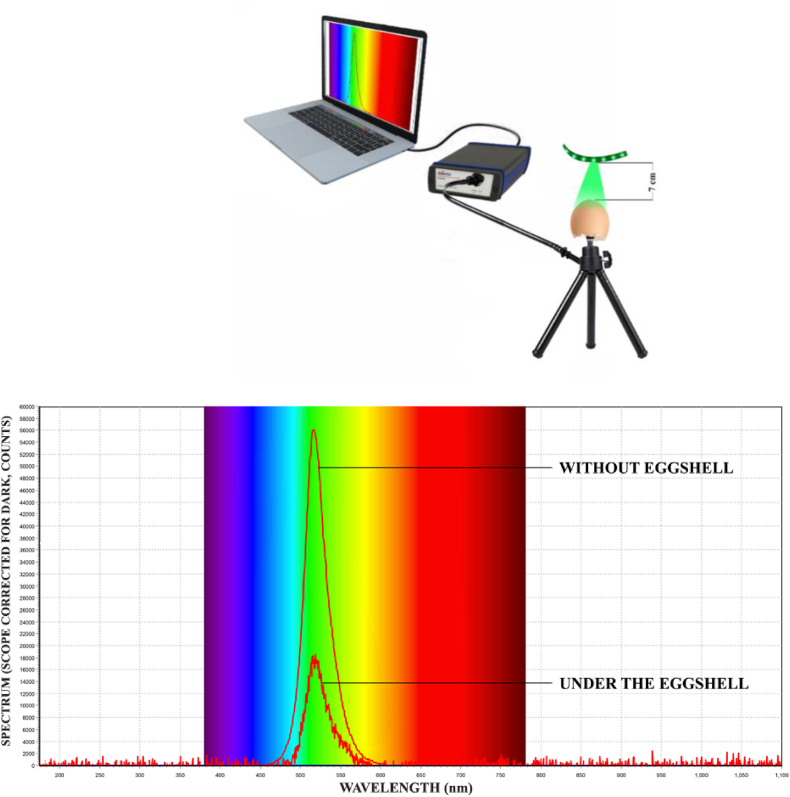 Figure 2