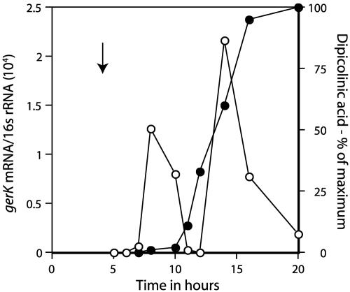 FIG. 1.