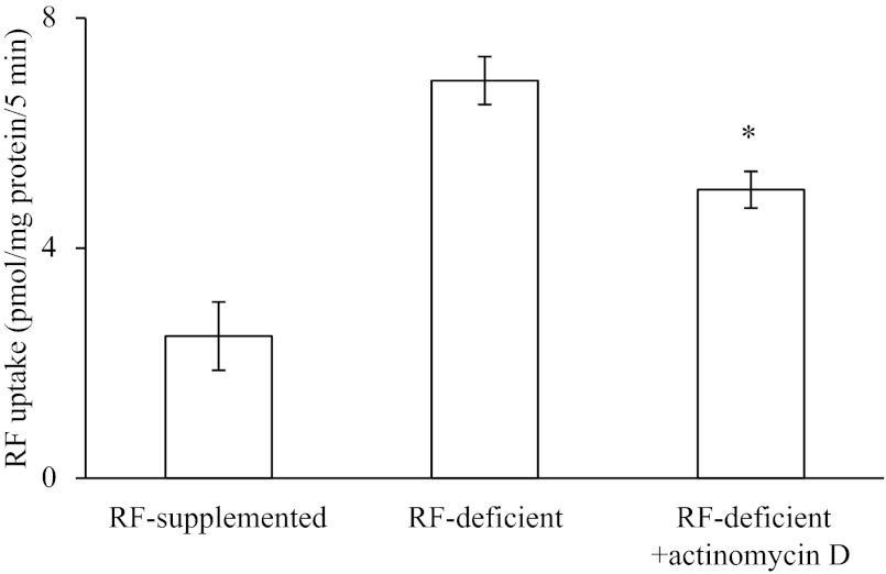 Fig. 5.