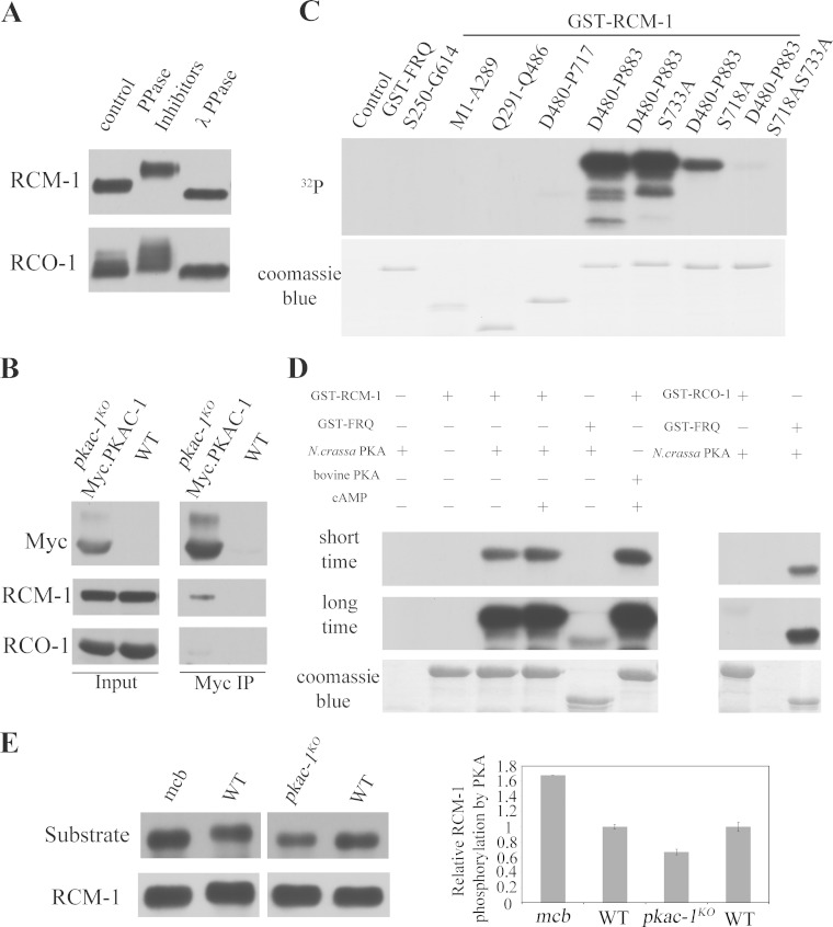 FIG 5