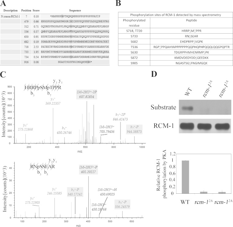 FIG 6