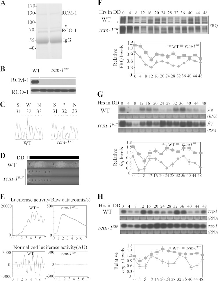 FIG 3