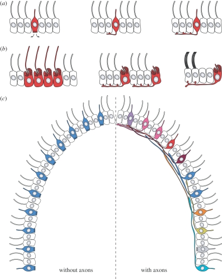 Figure 2.