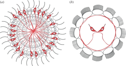 Figure 3.