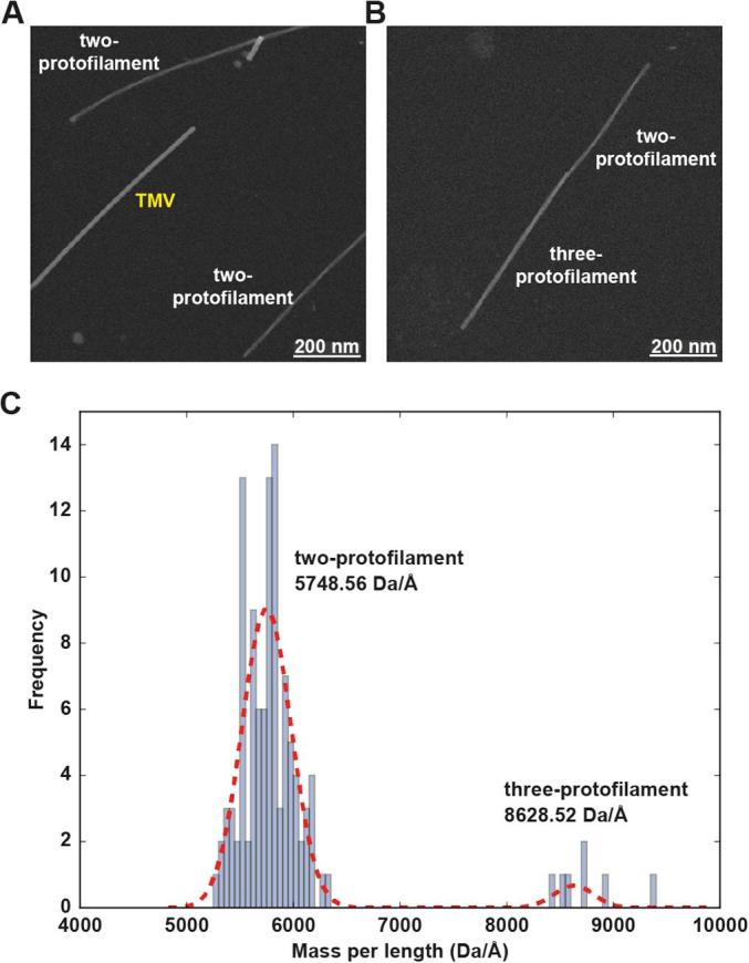 Fig. 2