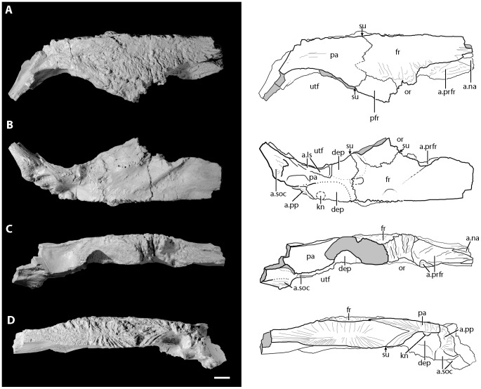 Figure 10