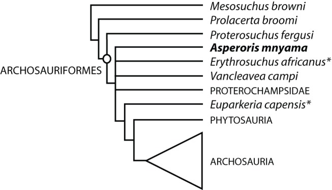 Figure 13