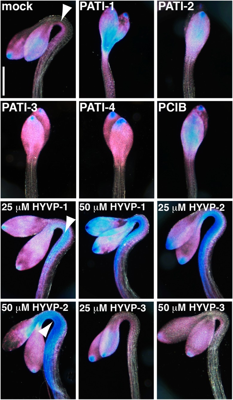 Figure 3.