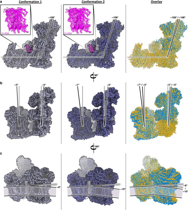 Extended Data Fig. 3