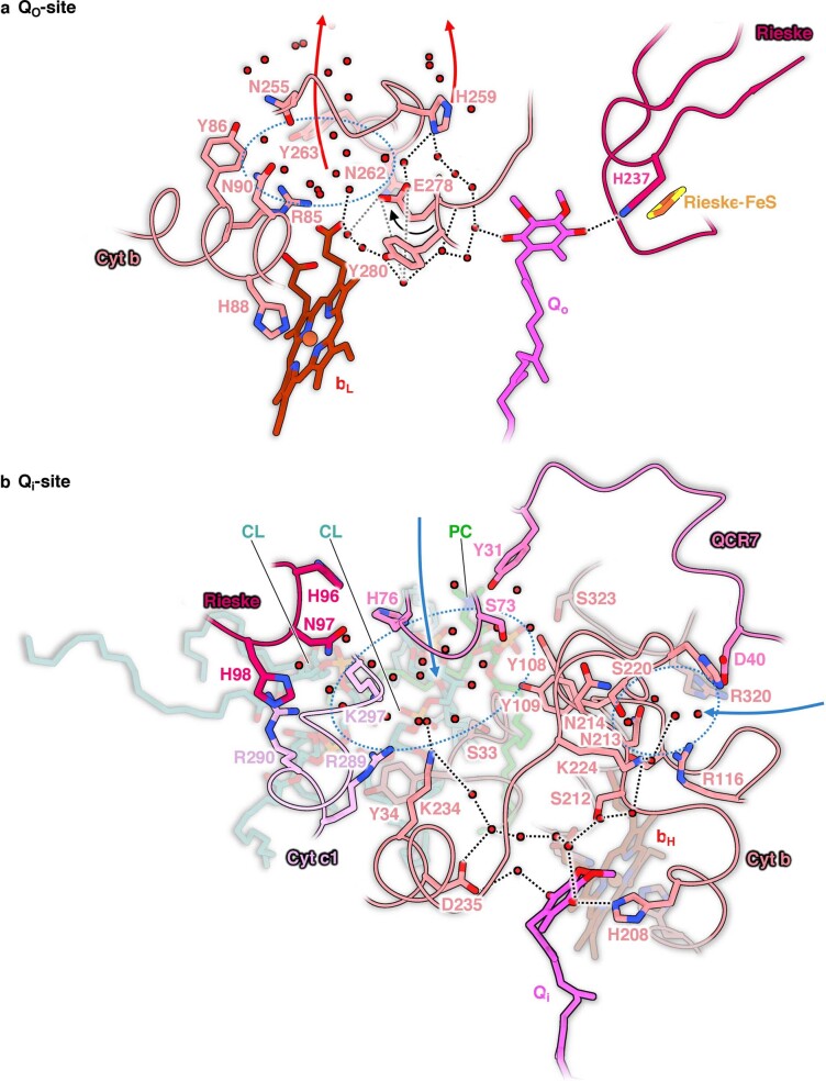 Extended Data Fig. 8