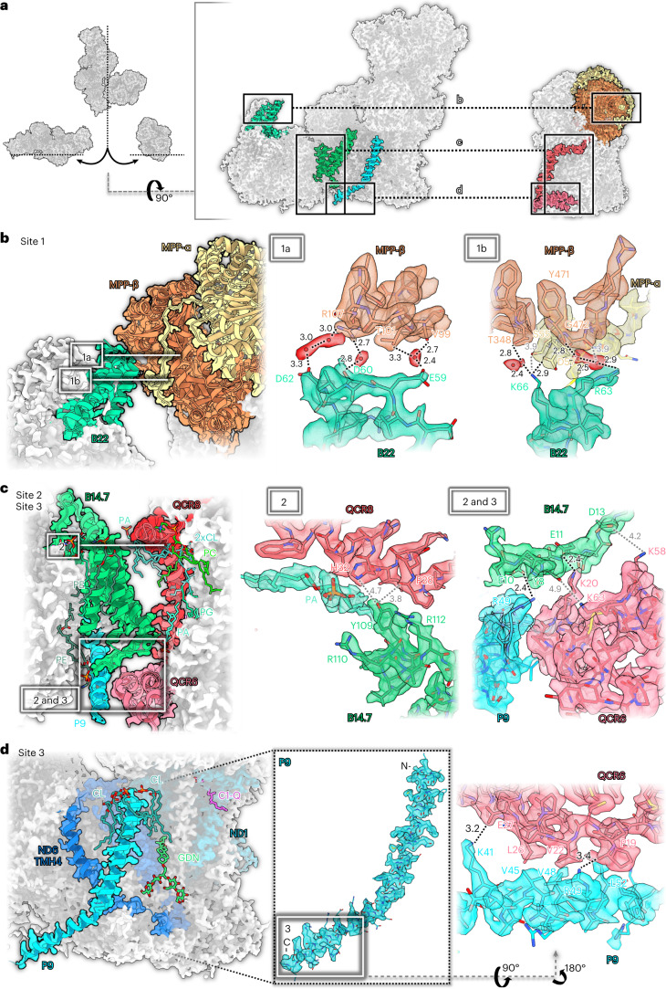 Fig. 4