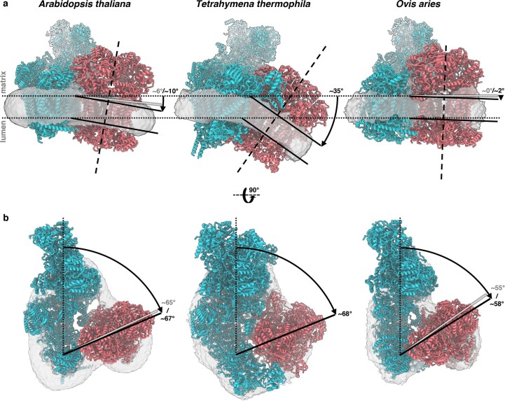 Extended Data Fig. 4