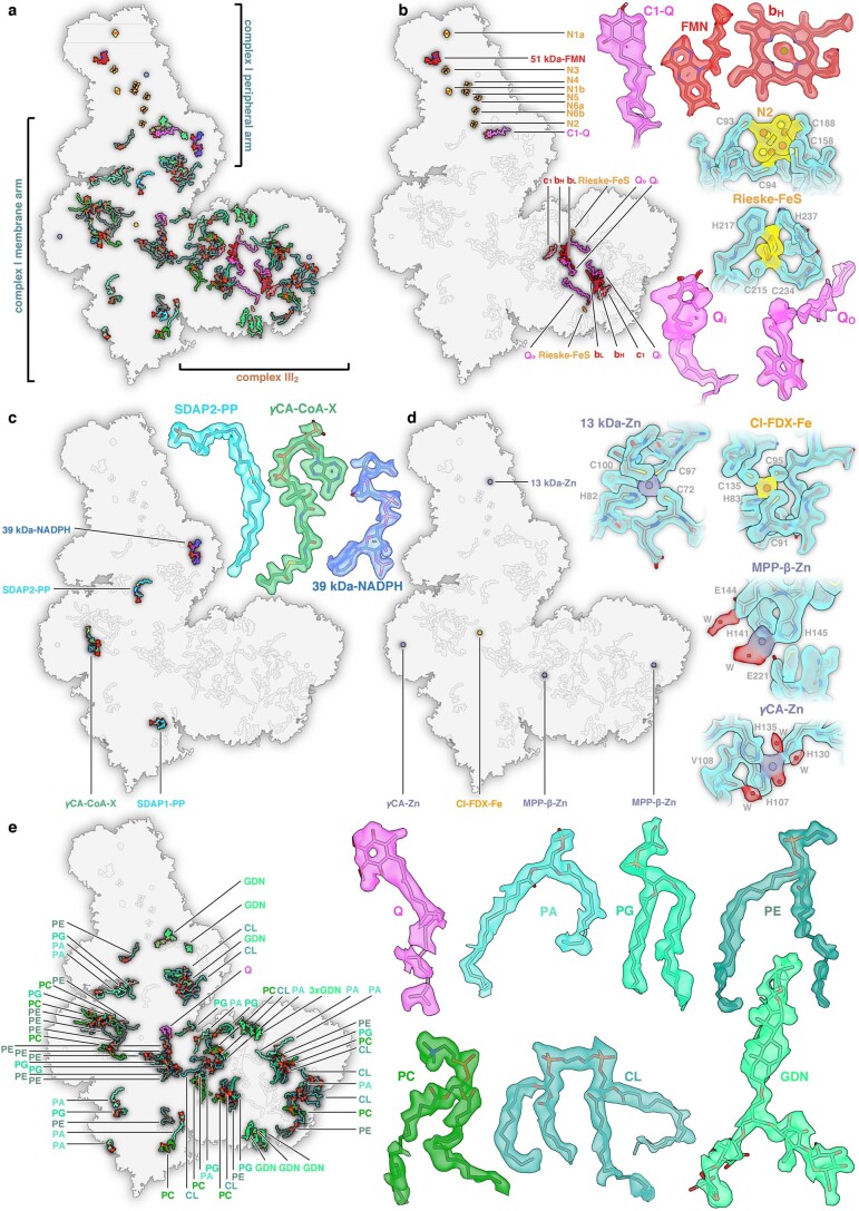 Extended Data Fig. 2