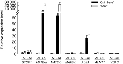 Fig. 4.